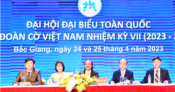 SC88 chính thức: Chủ tịch Liên đoàn Cờ Việt Nam ra thông báo chấn chỉnh nội bộ - hình ảnh - sc88go.com