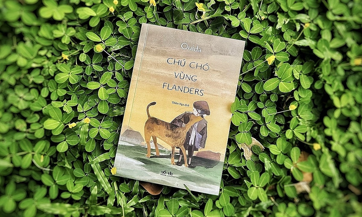 SC88 cược bóng đá và thông điệp hy vọng từ ‘Chú chó vùng Flanders’ - hình ảnh - sc88go.com
