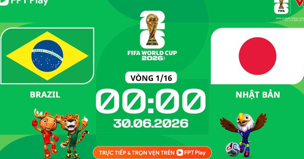 Nhận định Brazil vs Nhật Bản: Trận cầu căng thẳng và cơ hội cá cược hấp dẫn - hình ảnh - sc88go.com Nhận định Brazil vs Nhật Bản: Trận cầu căng thẳng và cơ hội cá cược hấp dẫn - hình ảnh - sc88go.com