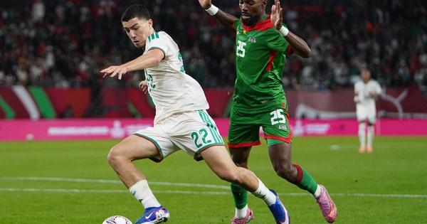 SC88 cược bóng đá: Ibrahim Maza – Ngôi sao gốc Việt có thể cập bến Premier League sau World Cup 2026? - hình ảnh - sc88go.com