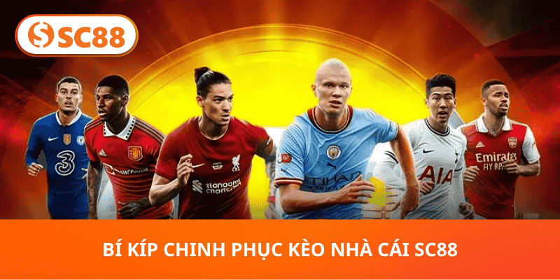 Hướng Dẫn Toàn Diện Kèo Nhà Cái SC88 Cho Người Mới - hình ảnh - sc88go.com Hướng Dẫn Toàn Diện Kèo Nhà Cái SC88 Cho Người Mới - hình ảnh - sc88go.com