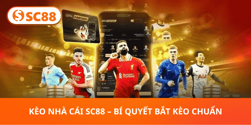 Hướng Dẫn Toàn Diện Kèo Nhà Cái SC88 Cho Người Mới - hình ảnh - sc88go.com Hướng Dẫn Toàn Diện Kèo Nhà Cái SC88 Cho Người Mới - hình ảnh - sc88go.com